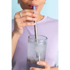 LifeStraw SIP Reusable Steel Filter Straw with Carry Case