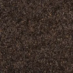 Wild Delight Nyjer Bird Seed, 20lb