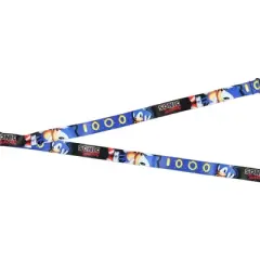 Sonic The Hedgehog Lanyard ID Badge Holder Classic Video Game Design w/ Rubber Charm and Collectible Sticker Multicoloured