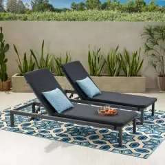 Christopher Knight Home Yasir Outdoor Water Resistant Fabric Chaise Lounge Cushions (Set of 2)