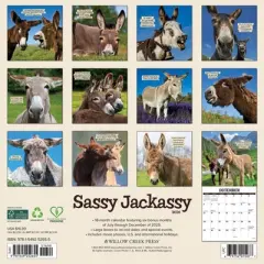 Willow Creek Press 2026 Sassy Jackassy Wall Calendar