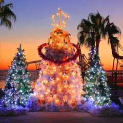 Itopfox Clear Christmas Lights Set with 100 Warm White Mini Bulbs for Indoor Christmas Tree, Garland, Wedding, Party, Festival Decoration