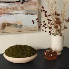 Faux Moss Bowl - Threshold&trade;