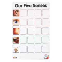 Kaplan Early Learning Company Our Five Senses Interactive Game