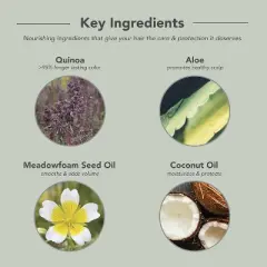 Framesi Color Lover Primer 11 Leave-In Conditioner, (8.5 fl oz) &ndash; Color-Protecting & Nourishing Leave-In Treatment for All Hair Types