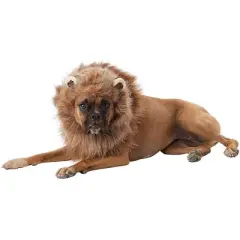 California Costumes King of the Jungle Lion Dog Costume