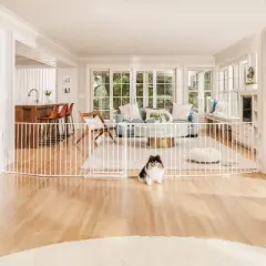 Carlson Tie Out Dog Leash - 20'