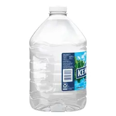 Ice Mountain Brand 100% Natural Spring Water - 101.4 fl oz Jug