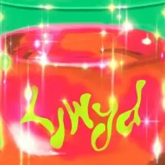 LLWYD - Luminous - incl. Booklet (CD)