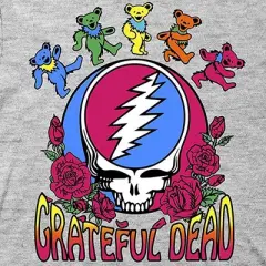 Mens Grateful Dead Rock Shirt - Grateful Dead Steal Your Face Skull Dancing Bear Vintage Tee (Grey Skull, Medium)
