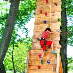 VEVOR 32 Rock Climbing Holds, Multi-Size and Multi-Colored Climbing Rocks for Kids and Adults, Rock Wall Holds with Mounting Hardware