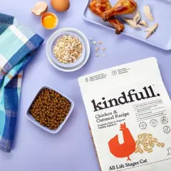 Chicken & Oatmeal Recipe Dry Cat Food - 7lbs - Kindfull&trade;