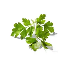 Organic Italian Parsley - 0.5oz - Good & Gather&trade;