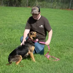 Country Brook Petz Pink Bone Camo Martingale Dog Collar and Leash