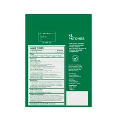 Biofreeze XL Pain Reliever Patches - 4ct