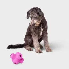 Tough Rubber Jack Interactive Treat Dispenser Dog Toy - Boots & Barkley&trade; Purple