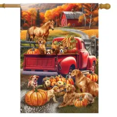 Briarwood Lane Fall House Flag 40x28 For Outdoor Fall Puppy Pickup For Fall House Flag