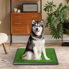 Sandinrayli Washable Puppy Pee Turf Grass Pad, 28 x 18 in