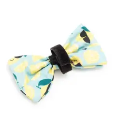 The Worthy Dog Lemons Adjustable Bow Tie Accessory