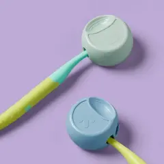 Toothbrush Cover - 2ct - up&up&trade;