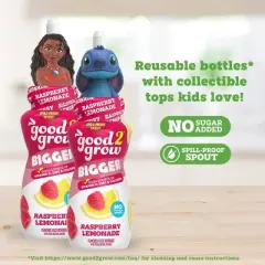 good2grow BIGGER Raspberry Lemonade Juice - 10 fl oz Bottle