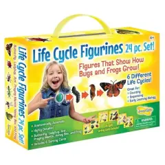 Insect Lore Products Life Cycle Figurines - 24 Pieces