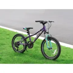 HILAND Boys Girls Mountain Bike for Kids, 7 Speeds Kids MTB Bicycle, 20 inch