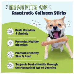 Pawstruck Natural Beef Collagen Sticks for Dogs - Healthy Long Lasting Alternative to Traditional Rawhide w/ Chondroitin & Glucosamine