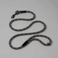 Reflective Rope Dog Leash - Gray - Boots & Barkley&trade;