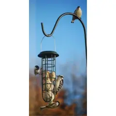 Wildlife Sciences Fruit & Nut Suet Balls For Wild Birds, Melt Resistant Formula (4 Balls Per Pack)