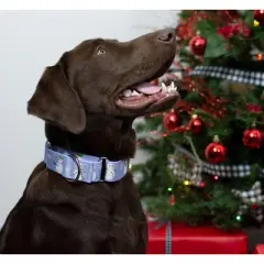 Country Brook Petz 1 1/2 Inch Snowman Martingale Dog Collar