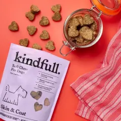 Skin & Coat Soft Chews for Dogs - Pork Flavor - 60ct - Kindfull&trade;