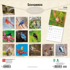 BrownTrout Songbirds 2026 12"x24" Hanging Square Wall Calendar Plastic-Free