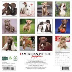Willow Creek Press 2026 American Pit Bull Terrier Puppies Wall Calendar
