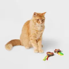 Pride Scratcher Pad for Cats - 2pk