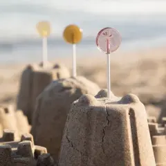 Amborella Organics Seed-Bearing Lollipop &ldquo;Giddy Up & Grow&rdquo; Cards 6ct