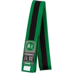Hayabusa Youth Jiu-Jitsu Belt - Green/Black