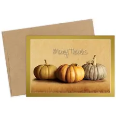 50ct Fall Pumpkins Thank You Note Cards