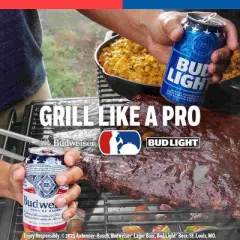 Bud Light American Lager Beer - 24pk/16 fl oz Cans