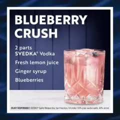 SVEDKA Vodka - 750ml Plastic Bottle