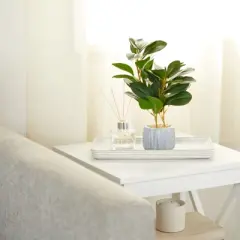 Juvale Artificial Plants in Pot, Fake Faux Plants with Gray Cement Planter, 3.1 x 3.1 x 11.8 in