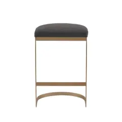 Eugene Counter Height Barstool Charcoal/Antique Gold - Madison Park
