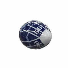 NCAA Villanova Wildcats Mini-Size Glossy Football