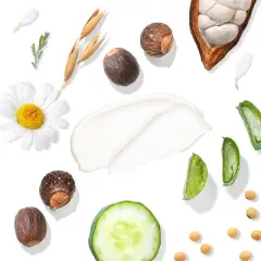 Tree To Tub Ultra Gentle Unscented Lotion for Sensitive Skin with Aloe