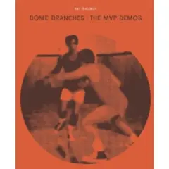 Nat Baldwin - Dome Branches: MVP Demo