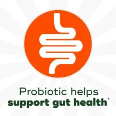 Align Gut Health & Immunity Daily Probiotic Supplement - Capsules - 28ct