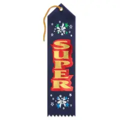 Beistle Super Award Ribbon, 2" x 8", (6/Pkg) Multicolored