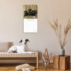 2026 Square Wall Calendar, Dachshunds, 16-Month Paw Prints Theme with 180 Reminder Stickers (12x12 In)