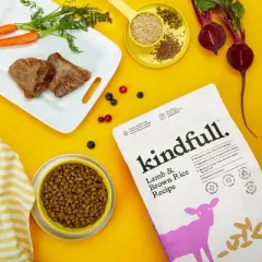 Lamb & Brown Rice Recipe Dry Dog Food - 23lbs - Kindfull&trade;