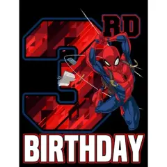 Boy's Marvel 3rd Birthday Spidey T-Shirt